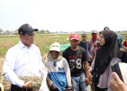 Mentan Amran Tepati Janji, Dalam Hitungan Jam Bantuan Alsintan Tiba di Tangan Petani Karawang
