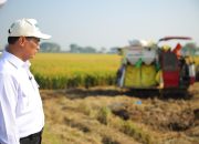 Angka Tetap BPS: Produksi Beras Januari–April 2026 Tumbuh, Luas Panen dan Produksi Padi Ikut Naik